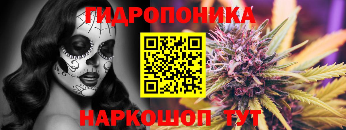 Каннабис OG Kush  Шишки марихуана MAZAR  Марихуана тримм  Канабис конопля  Вход с VPN  Ленинск-Кузнецкий 
